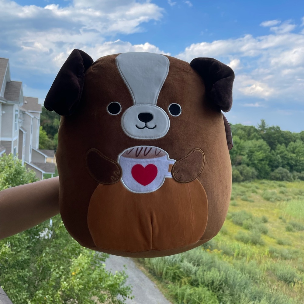 Bernie The Saint Bernard- *Limited Edition* Squishmallow 12”